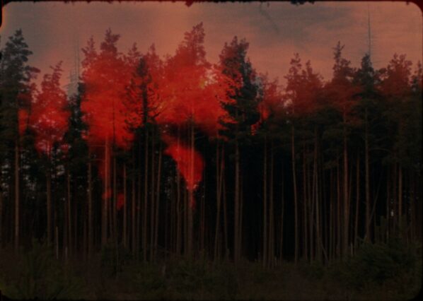 LeaveThisRoomBuried_still_10